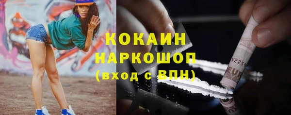 mdpv Краснослободск