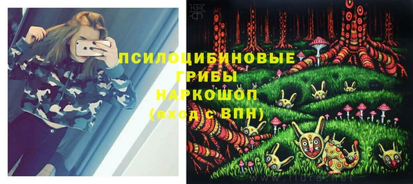 mdpv Краснослободск