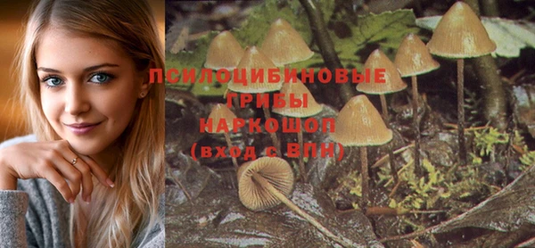 альфа пвп Красноперекопск