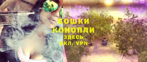 прущие грибы Краснотурьинск