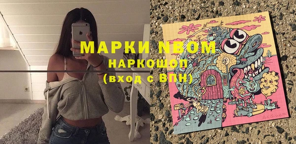 прущие грибы Краснотурьинск