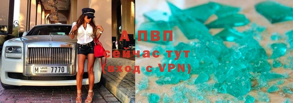 прущие грибы Краснотурьинск
