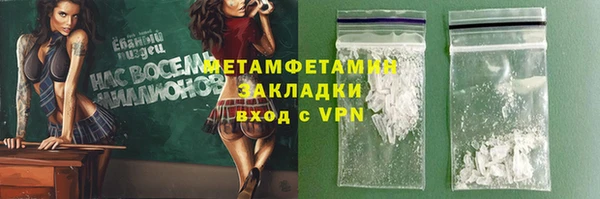 прущие грибы Краснотурьинск