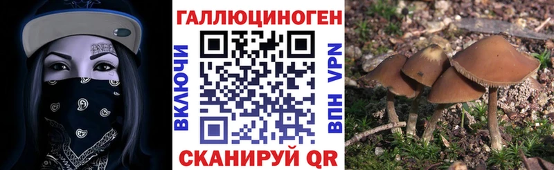 Псилоцибиновые грибы прущие грибы  Купить  Каргополь 